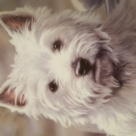 Hitching a Ride by Paul Doyle West Highland Terrier Danbury Mint Gift - Picture 5 of 6